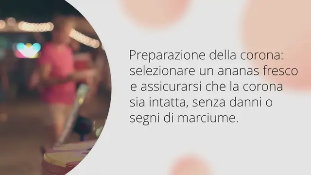 Video thumbnail for Coltivare gli ananas in casa: un’avventura tropicale a domicilio