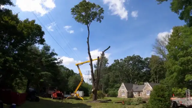 Video thumbnail for Crafting Your Way to Survival in a Zombie Apocalypse