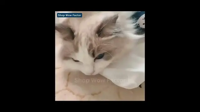 Video thumbnail for ❄️🏠 Keep Your Pet Cozy and Warm! 🐾🔥 Winter Warm House Small Pet Mat || Link is in Description