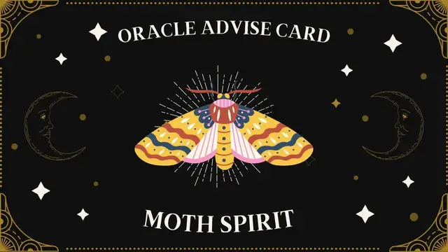 Video thumbnail for Pick A Card | Oracle Advise Card - Moth spirit