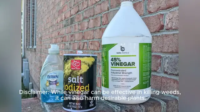 Video thumbnail for vinegar weed killer recipe