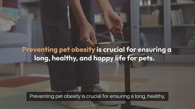 Video thumbnail for Pet Obesity Prevention