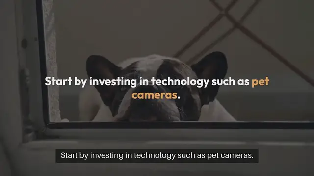 'Video thumbnail for Effective Pet Monitoring Techniques'
