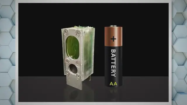 'Video thumbnail for Algae-Powered Computer: Runs 365 Days on Light and Water'