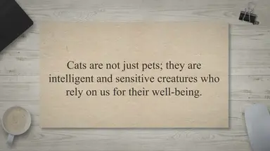 'Video thumbnail for The Heavenly Hierarchy: Unveiling the Power of Our Actions Towards Cats'