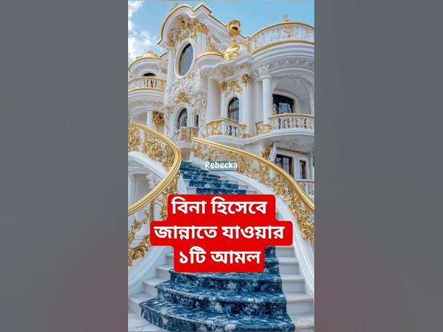 Video thumbnail for বিনা হিসেবে জান্নাতে যাওয়ার ১টি আমল#shorts #viral#sheikh_ahmadullah#islamicalortips