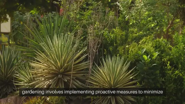 Video thumbnail for Disease Prevention in Vegetable Gardening