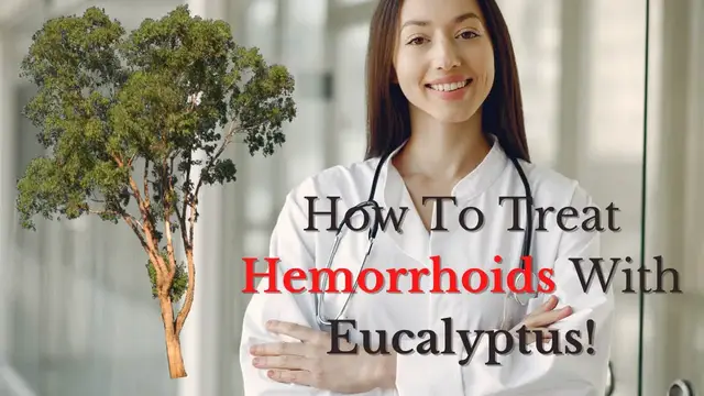 'Video thumbnail for How To Treat Hemorrhoids With Eucalyptus!'