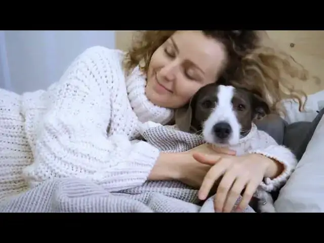 'Video thumbnail for 7 Surprising Effects of Sleeping With Your Dog Every Night'