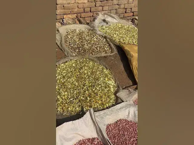 Video thumbnail for 29 November 2025