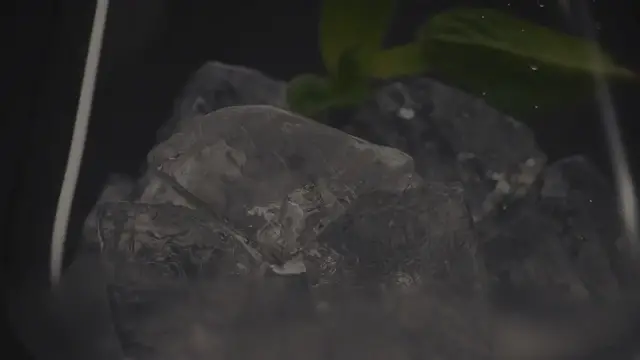 Video thumbnail for Mocktail Magic: Refreshing Non-Alcoholic Drinks for Any Occasion