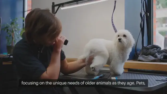 'Video thumbnail for Senior Pet Care'