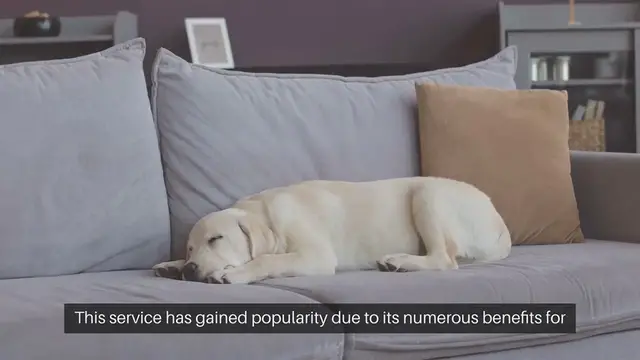 Video thumbnail for Pet Sitting Arrangements at Home