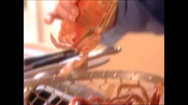 Video thumbnail for 
				 Crab Show