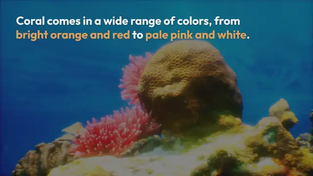 Video thumbnail for Is coral orange or pink?