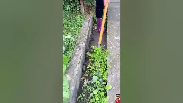 Video thumbnail for 🌟 Product Link is in Description | From Earth to Heart: Unearth New Garden Stories with Your Shovel!