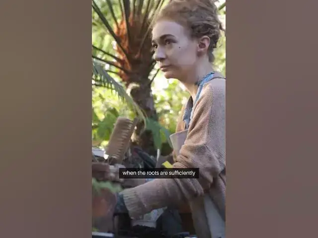 Video thumbnail for Pothos Water Propagation Guide #beginnergardeners #facts #gardeningtipsforbeginners #garden