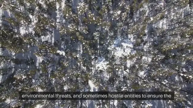 Video thumbnail for Survival Strategy Games