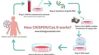 'Video thumbnail for 5 Steps in CRISPER/Cas 9 Gene Editing Technology || 3 Minute'