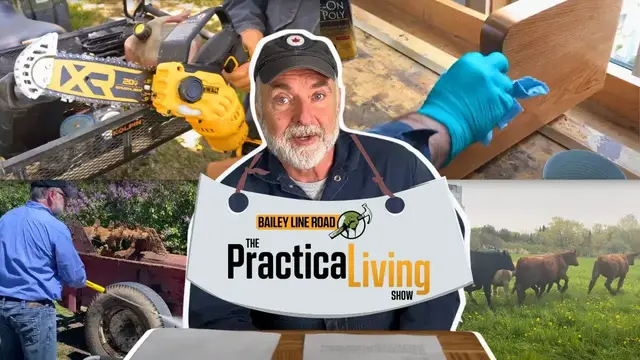 'Video thumbnail for Pressure Washer Mistakes, Cattle's First Graze, Mini-Chainsaw & More! | Practical Living Ep. 1'