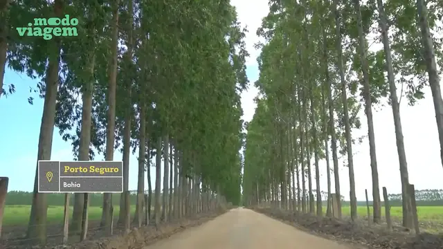 'Video thumbnail for Sul da Bahia: Praias Paradisíacas e Sabores Únicos em Trancoso e Porto Seguro 🌴✨'