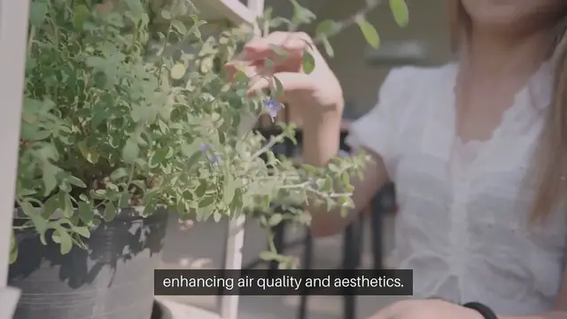 Video thumbnail for Seed Starting for Indoor Foliage Plants