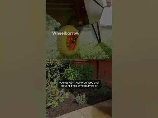 Video thumbnail for Gardening tool Tips and Hacks  #beginnergardeners #gardening #greenthumb #gardening