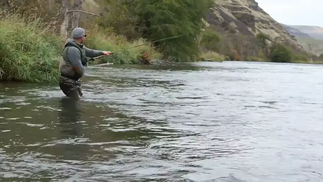 Video thumbnail for Fish Tales & Vacuum Seals: The Secrets Behind Catching and Keeping the Best of Both Worlds