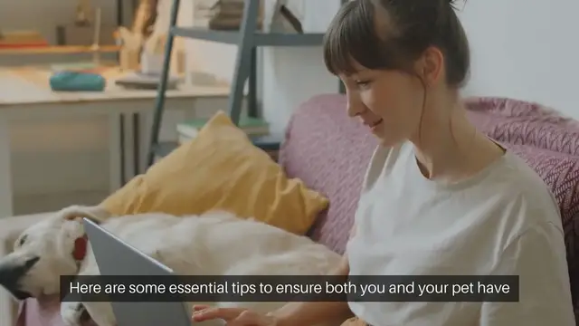 Video thumbnail for Pet-Friendly Apartment Tips