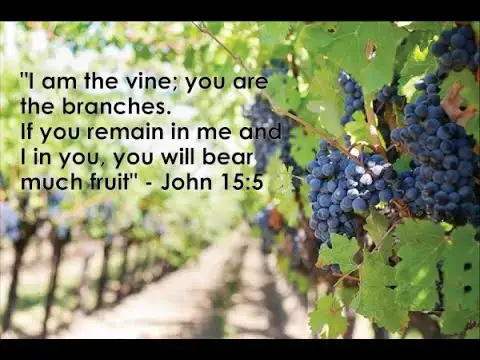 Video thumbnail for Easter 6, May 17, 2020, Morning Prayer