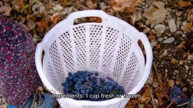 Video thumbnail for blueberry smoothie recipe