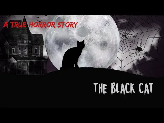 'Video thumbnail for The Black Cat: A True Horror Tale- English true Horror Story'