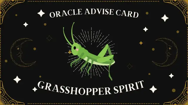 Video thumbnail for Pick A Card | Oracle Advise Card - Grasshopper spirit