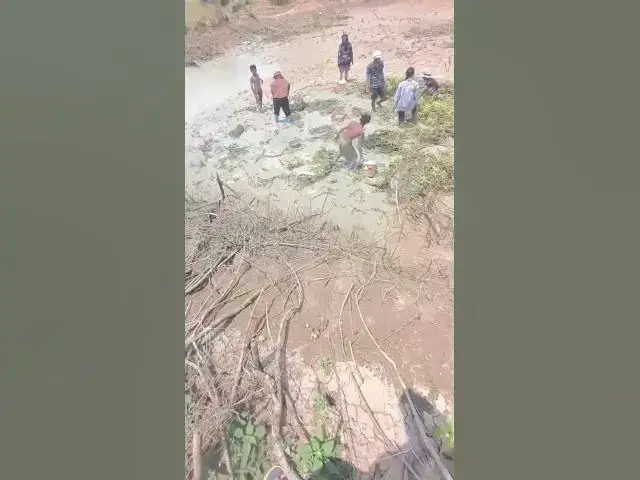 Video thumbnail for boys or girl catch fish  #fish #shortfish #catchingfish #viralfish