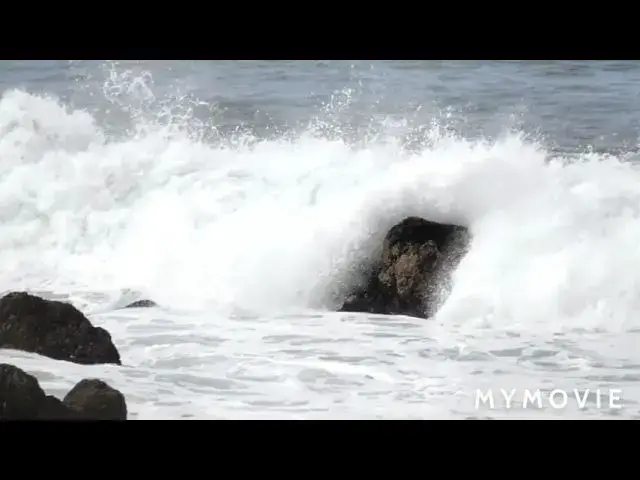 Video thumbnail for 29 August 2021