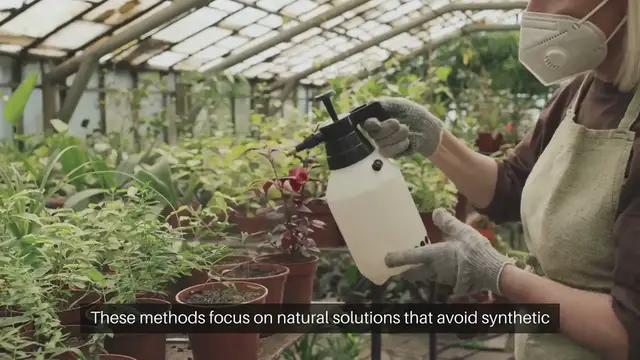 Video thumbnail for Organic Pest Control Methods Every Garden