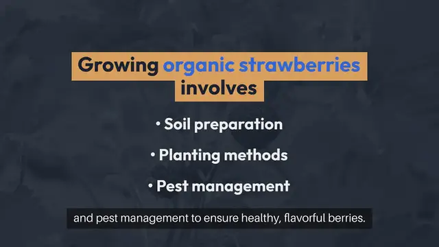Video thumbnail for How to Grow Organic Strawberries