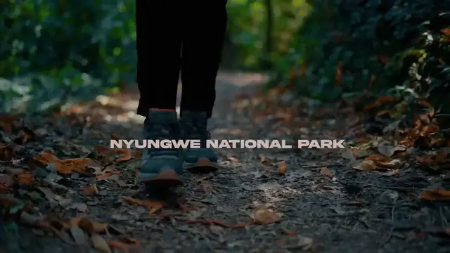 'Video thumbnail for Yesu Niwe Mucyo Wanjye - Papi Clever & Dorcas'