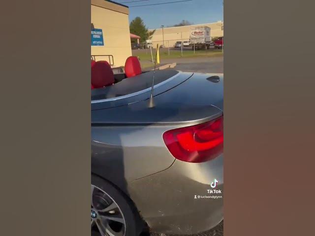 Video thumbnail for Greta is on the move !