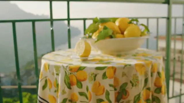 Video thumbnail for Lemon Garlic Butter Chicken Spiedini – A Zesty, Savory Delight