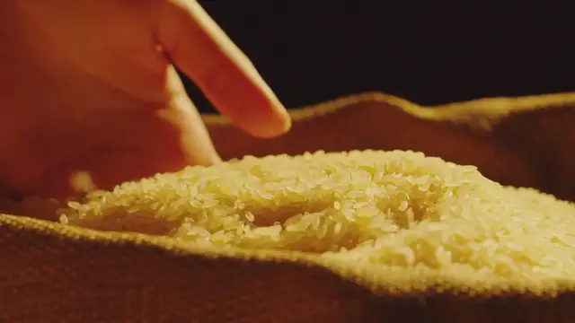 Video thumbnail for Vegan Egyptian Koshari Recipe