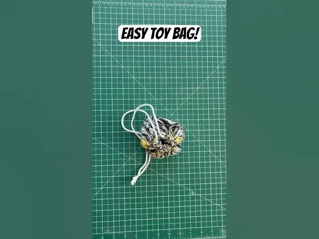 Video thumbnail for Super Easy Toy Bag #fufusquishy