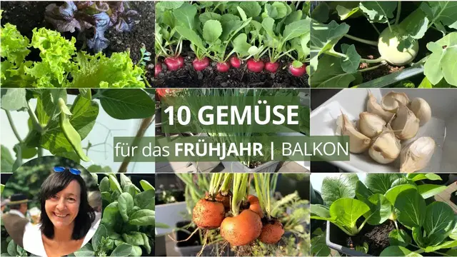 'Video thumbnail for 10 GEMÜSE, die du im FRÜHJAHR auf dem BALKON anbauen kannst'