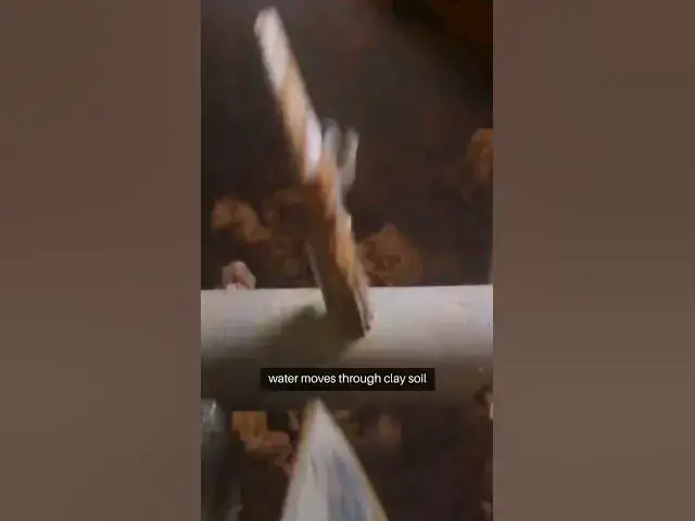 Video thumbnail for Soil Water Retention Comparison Clay  #beginnergardeners #greenthumb #gardeningtipsforbeginners