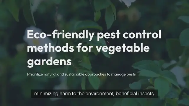 Video thumbnail for Eco Friendly Pest Control for Vegetable