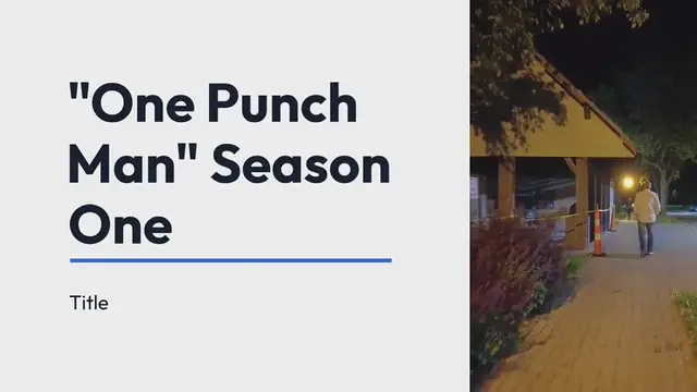 Video thumbnail for   One-Punch Man anime 孤高のサイボーグ: Season 1 explained.