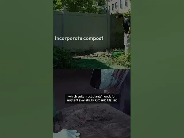 Video thumbnail for Gardening Soil Essentials A Guide #gardeningtips #greenthumb #beginnergardeners #bloomingbeauty