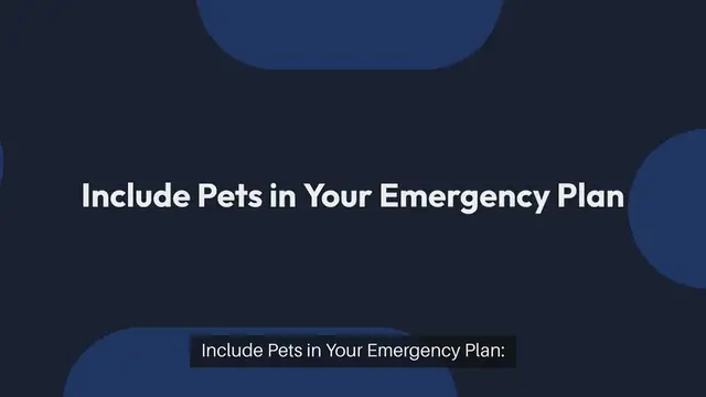 Video thumbnail for Creating an Emergency Plan for Pets