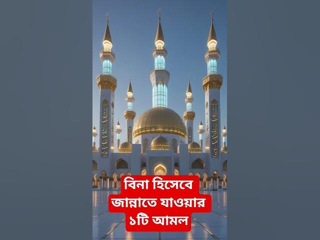Video thumbnail for বিনা হিসেবে জান্নাতে যাওয়ার ১টি আমল#shorts #viral#sheikh_ahmadullah#islamicalortips