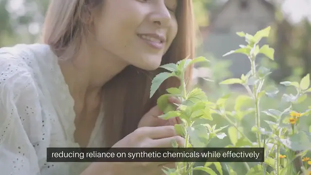 Video thumbnail for Effective Homemade Pest Sprays for Garden